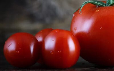 Dorsz pod&nbsp;gałązką pomidorową