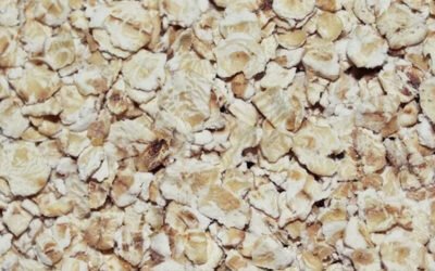 Owsianka w&nbsp;formie ciastka