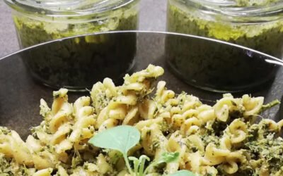 Pesto z natki marchewki