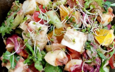 Sałatka z&nbsp;pieczonym rabarbarem i&nbsp;mozzarellą